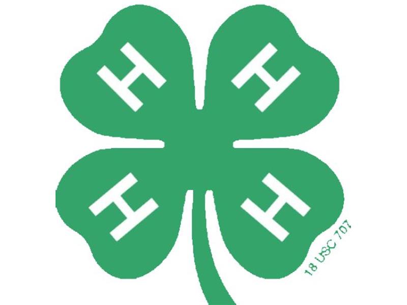 Logo for 2024 Turner County 4-H Horse Show