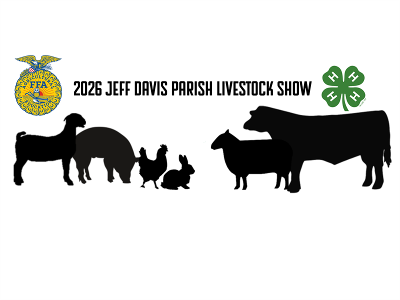 Fair Logo