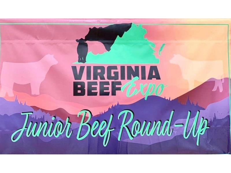Logo for 2026 Junior Beef Round Up